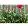 product-258728-1781541813-GAR07-0046062^3